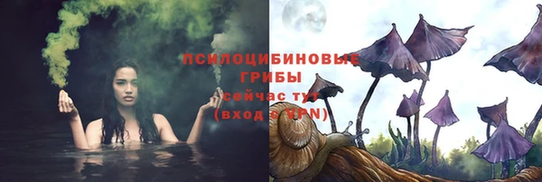 каннабис Богданович
