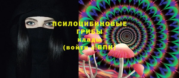 мяу мяу мука Беломорск