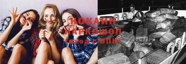 МДПВ Богородск