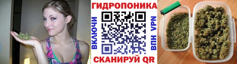 hydra онион  Бутурлиновка  Шишки марихуана ГИДРОПОН 